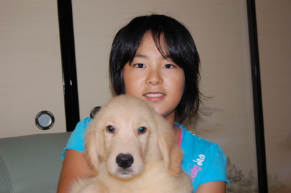 ゴールデンレトリバーの子犬をご購入の静岡県浜松市の徳田様