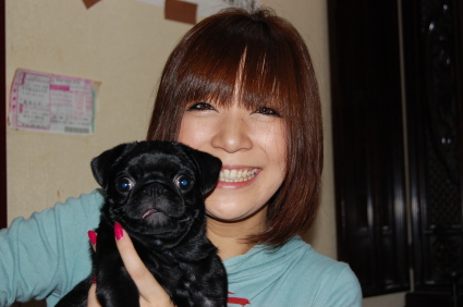黒パグの子犬をご購入の東京都の菊地様
