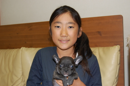 フレンチブルドッグの子犬をご購入の東京都の中村様