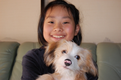 チャイクレの子犬をご購入の静岡県浜松市の金子様