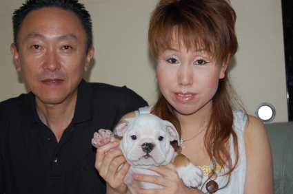 ブルドッグの子犬をご購入の愛知県名古屋市の浅田様